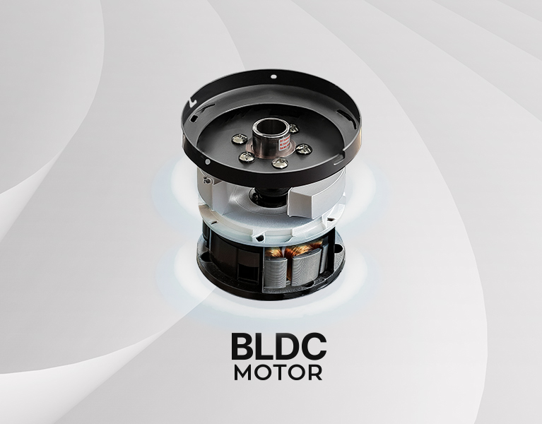 �����̾� ������ BLDC ����