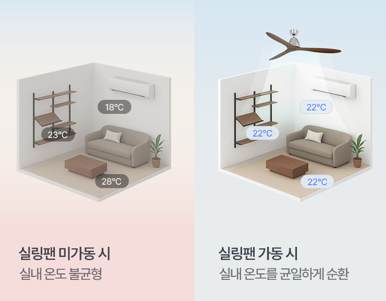 ����������ȯ